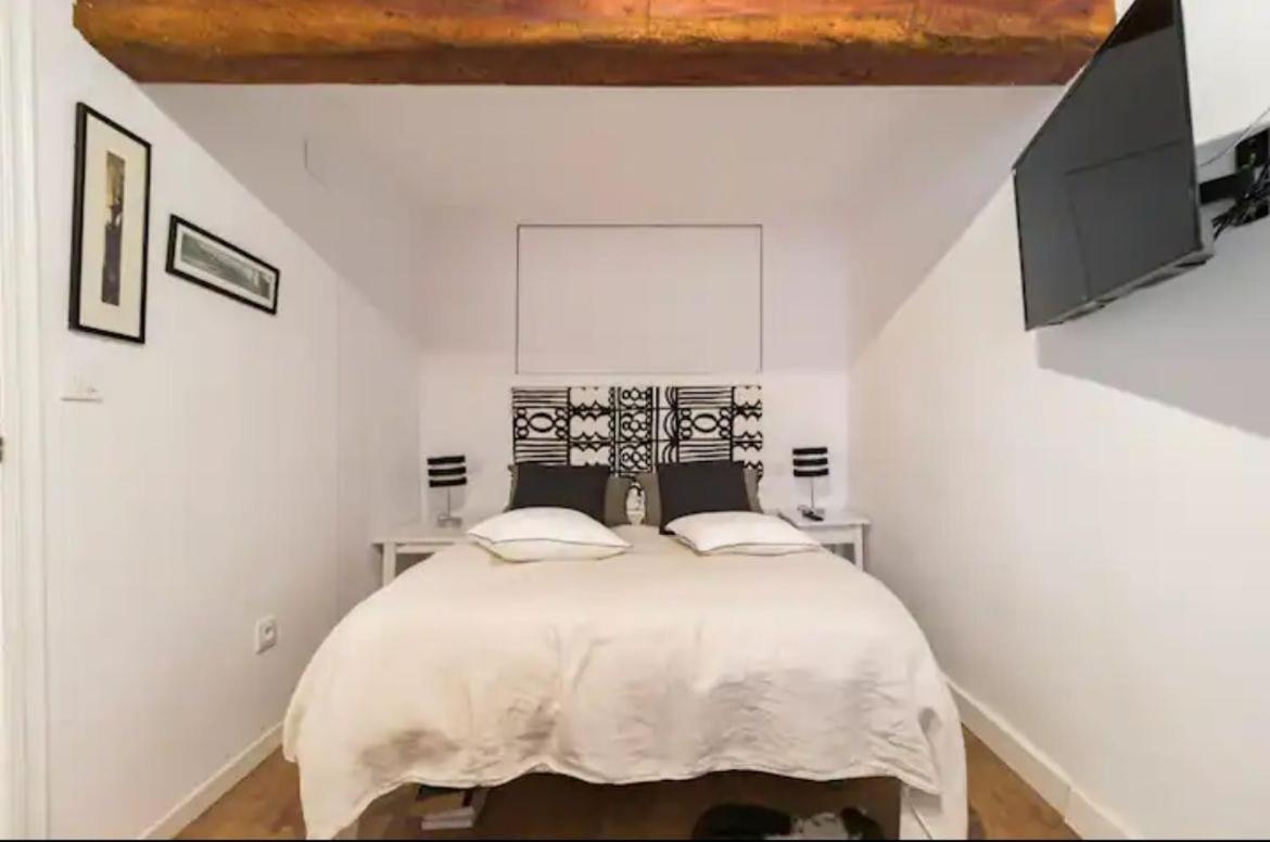 Central Monkey Apartment - Grupo Rh Santender Kültér fotó